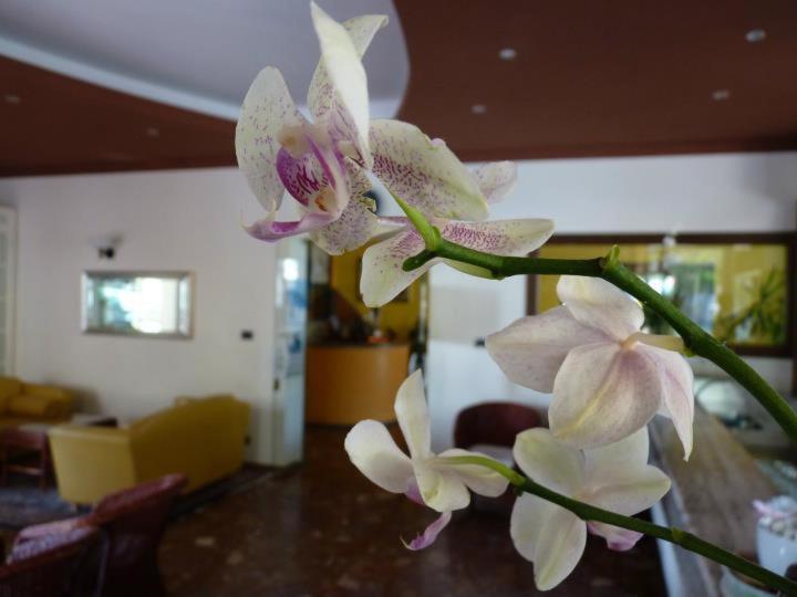 Gambrinus Hotel Lido di Jesolo